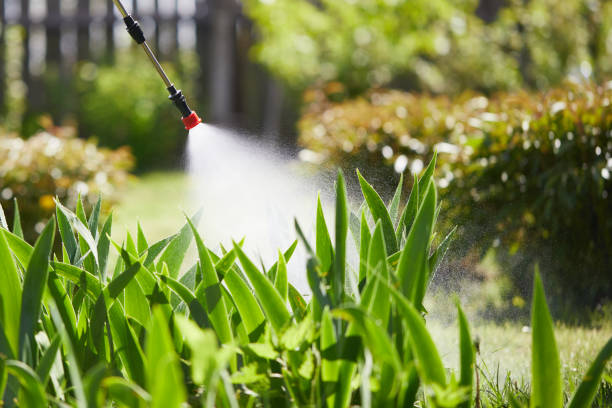24/7 Emergency Cockroach Control experts in Jackson, OH