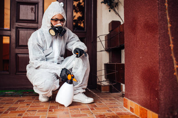 Reliable Cockroach Control contractor in Jackson, OH by Nex Pest Control